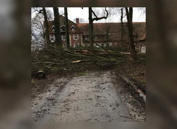 Zniszczenia dokonane przez orkan Frederike 