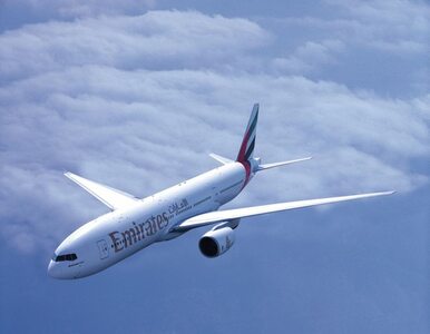 Miniatura: Emirates wprowadzają specjalne ceny na...