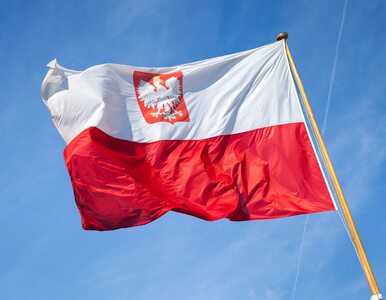 Miniatura: To nie obcy są zagrożeniem dla Polski. „My...