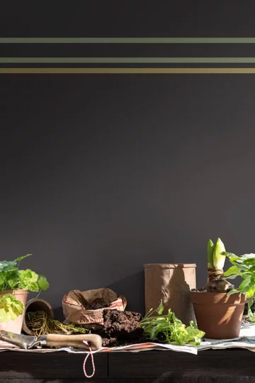 Kolory natchnienia z Palety ColourFutures 2023 