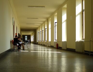 Miniatura: Prywatne uczelnie w Polsce: jest 300,...
