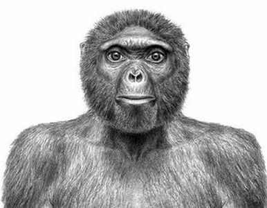 Miniatura: Kobieta roku 2009