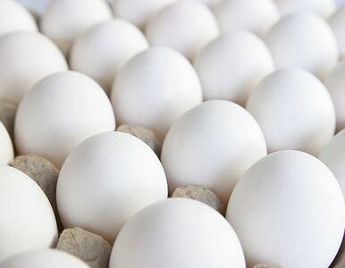 Miniatura: Minister chce, by jajka świeciły w...