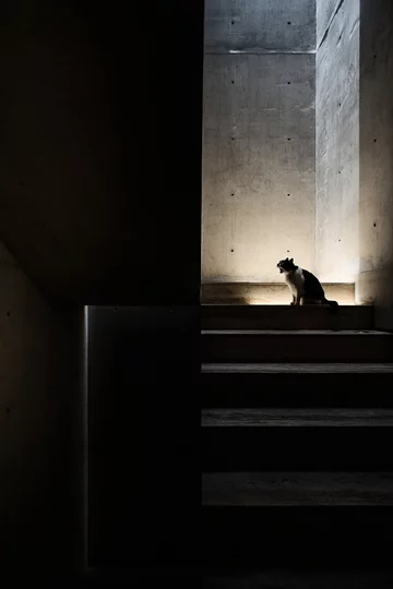 Betonowa Casa Tao w Meksyku, projekt HW Studio