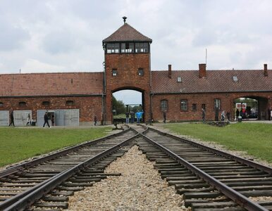 Miniatura: Holokaust: prawda się obroni