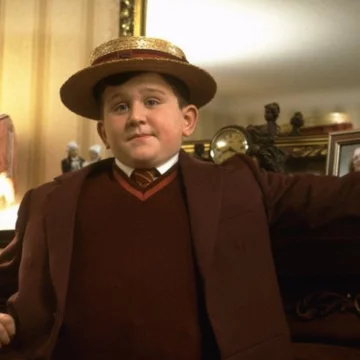 Dudley Dursley 