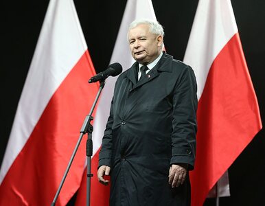 Miniatura: Kaczyński: Państwo jest w fatalnym stanie....