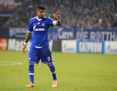 Miniatura: Bundesliga: Zawodnik Schalke pobity w Boże...