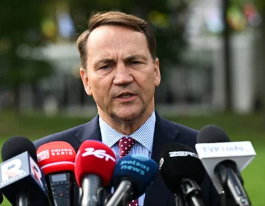 Miniatura: Sikorski pokazał list od hejterki....