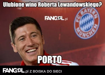 fot. fangol.pl
