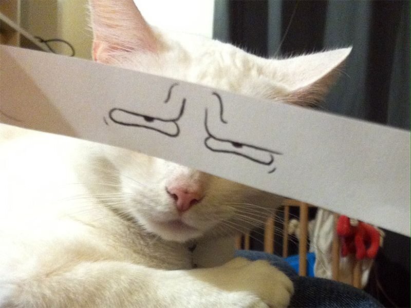 Lekko „zmodyfikowany” kot w stylu komiksowym 
