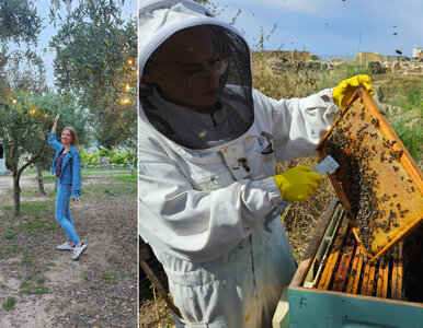 Miniatura: Miodowa wyspa, na którą dolecisz w 3...