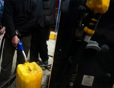 Miniatura: Gracz Valencii złapał kontuzję... na...