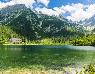 Miniatura: Zamień Morskie Oko na ten staw. Jest...