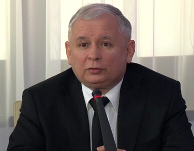 Miniatura: Kaczyński: Premier Tusk stchórzył