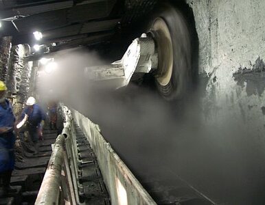 Miniatura: Górnicy pracują pod ziemią za długo. To...