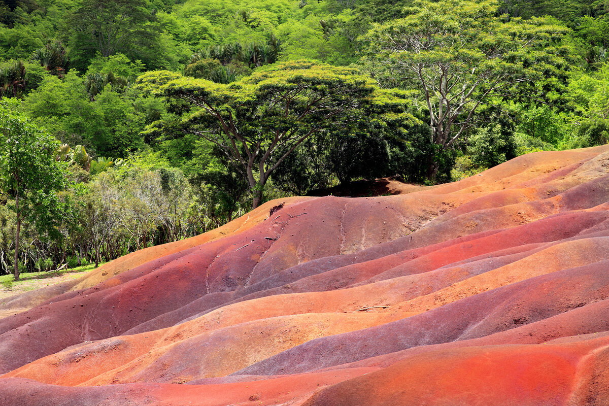 Chamarel na wyspie Mauritius 