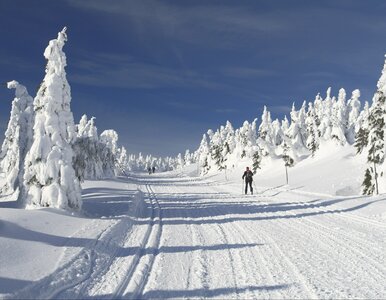 Miniatura: Polacy sprytnie oszczędzają na nartach....