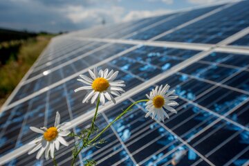 ENERGA &ndash; farma fotowoltaiczna Czernikowo