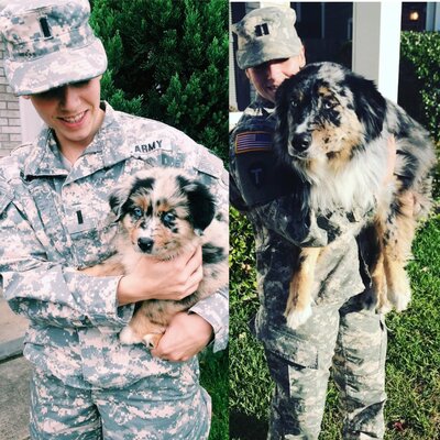 Miniatura: Psy i ich właściciele – wczoraj i dziś....