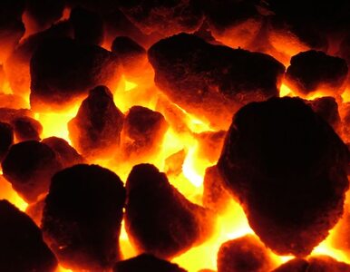 Miniatura: Polacy kupili 32 proc. rosyjskiego węgla...