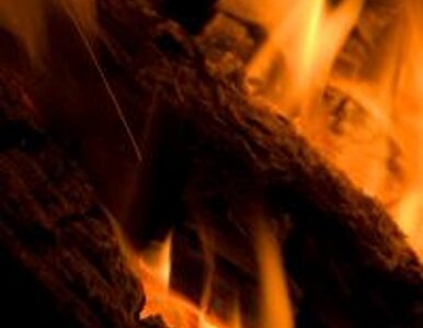 Miniatura: Pożar w Norwegii: dwóch Polaków nie żyje