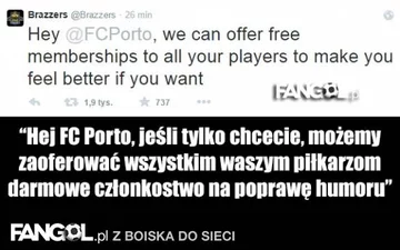 fot. fangol.pl