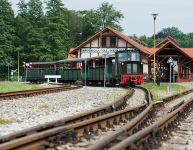 Miniatura: Nietypowa atrakcja podbija serca Polaków....