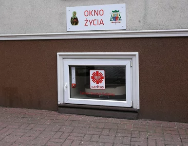 Miniatura: Niemowlęta w trzech oknach życia. Trafiły...