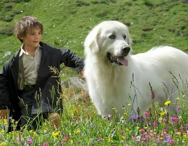 Miniatura: Familijny hit na niedzielę. Wzruszająca...