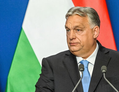 Miniatura: Orbán spotkał się z przywódcą Chin. Poparł...