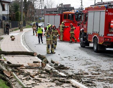 Miniatura: Tragedia w Zakopanem. Nie żyje chłopiec,...