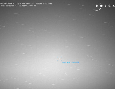 Miniatura: Ma 7,5 tony masy, może w minutę przemknąć...