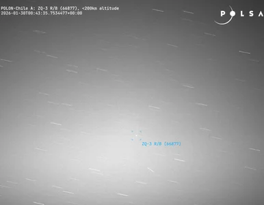 Miniatura: Ma 7,5 tony masy, może w minutę przemknąć...