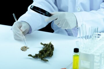 Instytut Wł&oacute;kien Naturalnych i&nbsp;Roślin Zielarskich &ndash; Państwowy Instytuty Badawczy w&nbsp;Poznaniu