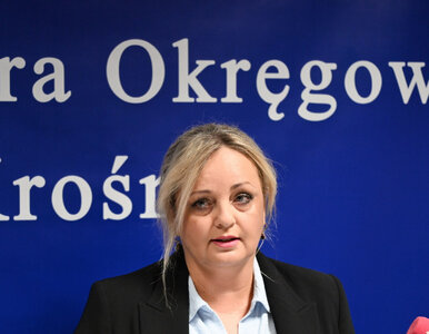 Miniatura: Nowe informacje ws. śledztwa po wypadku...