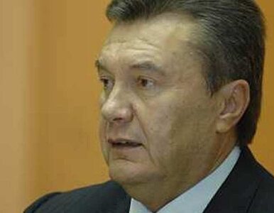 Miniatura: Kliczko do Janukowycza: Nie idź drogą...