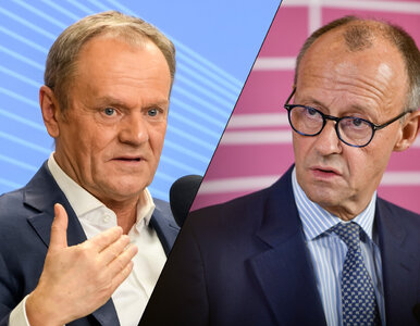 Miniatura: Niemcy pomogą Polakom w zabezpieczaniu...