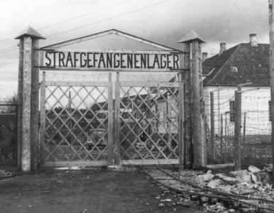 Miniatura: Polacy badają największy nazistowski obóz...