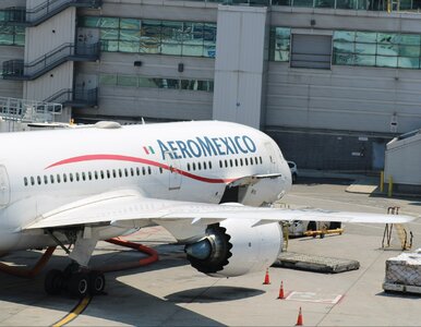 Miniatura: USA cofa zezwolenia na 13 tras z Meksyku....