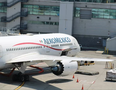 Miniatura: USA cofa zezwolenia na 13 tras z Meksyku....