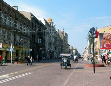 Miniatura: Piotrkowska pierwszym polskim akcentem w...