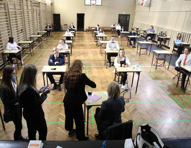 Miniatura: Matura z polskiego 2022. Tutaj znajdziesz...