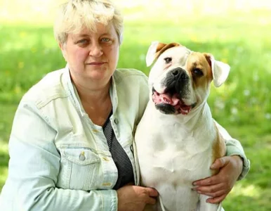 Miniatura: Mąż w szoku schował się pod kołdrę, ona...