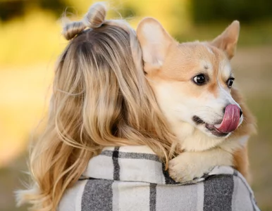 Miniatura: Tak psy wpływają na nasze zdrowie....