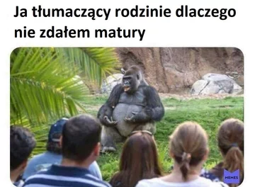 Mem maturalny 