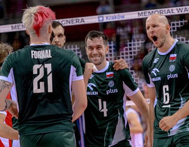 Miniatura: Reprezentant Polski miał być bohaterem...