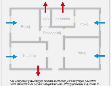 Miniatura: Jesień, czyli od czego boli głowa przy...