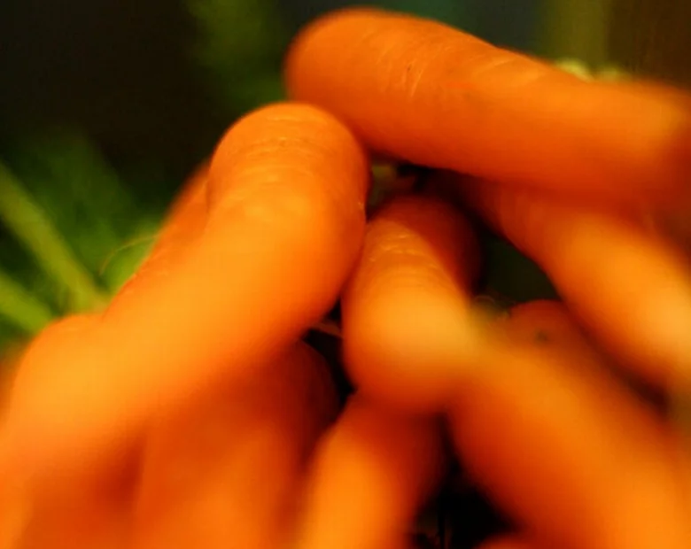 Miniatura: Kupił w internecie telefon - dostał......