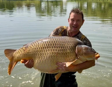 Miniatura: Brytyjski wędkarz złowił gigantycznego...